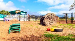 Agility Acres Dog Park