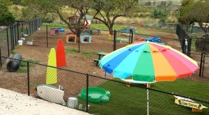 Kolohe Kids Dog Park