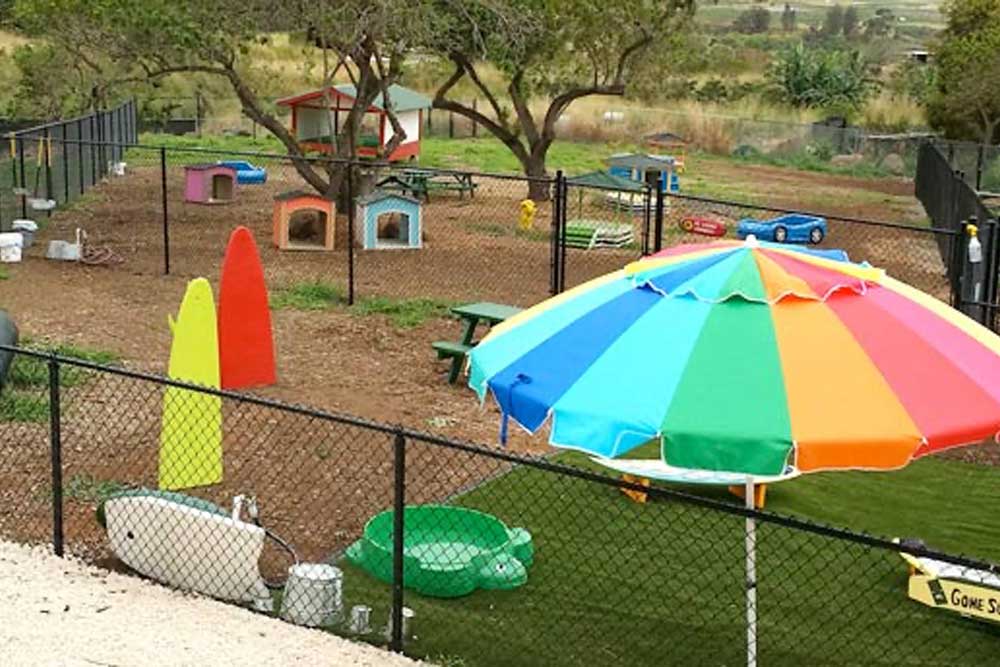 Kolohe Kids Puppy Play Area