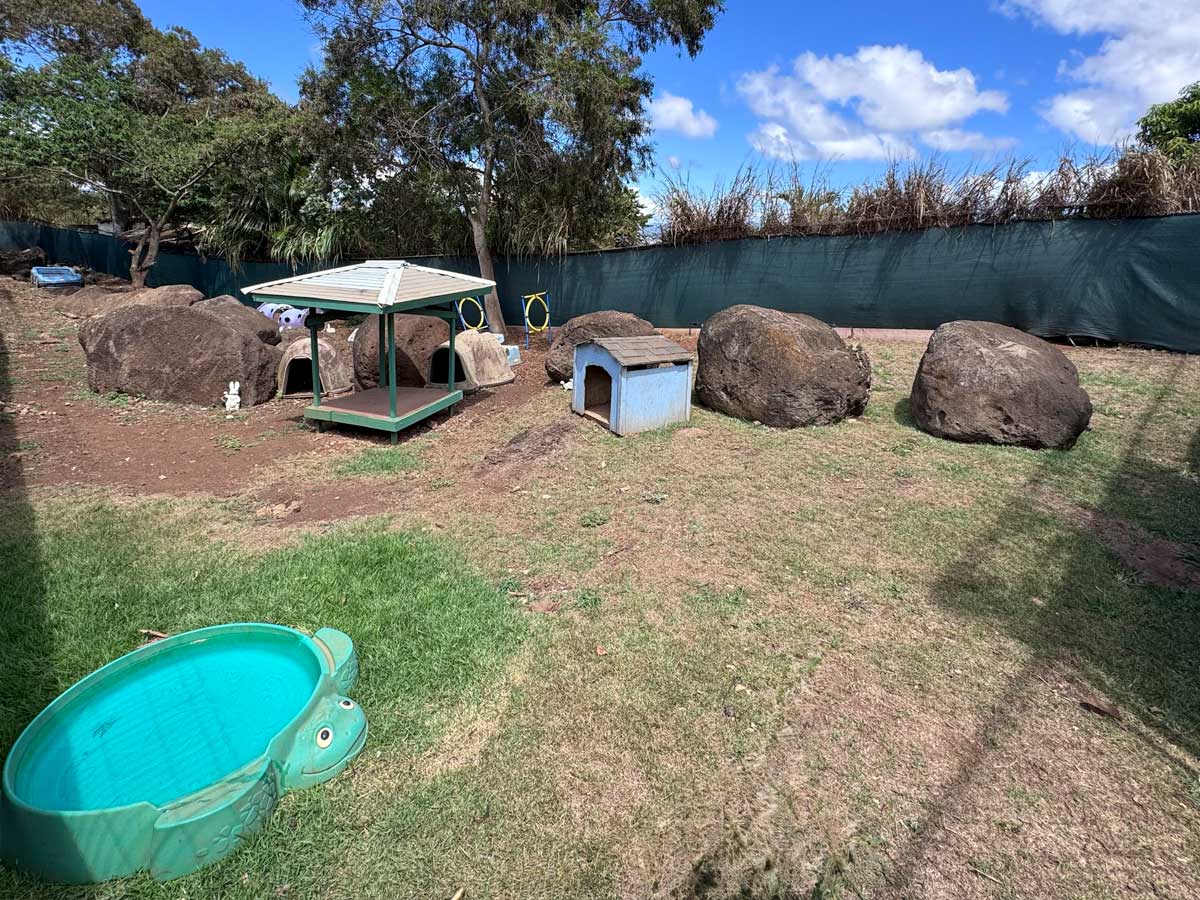 Private Play Dog Boarding Area